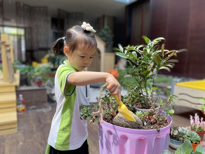 槐荫区第三实验幼儿园：“净”力守护，不“捡”不散