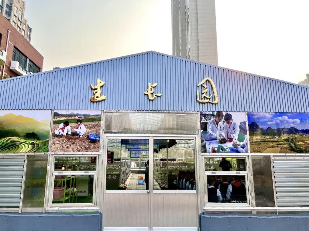 市中区政协专题商量调研活动走进经纶小学