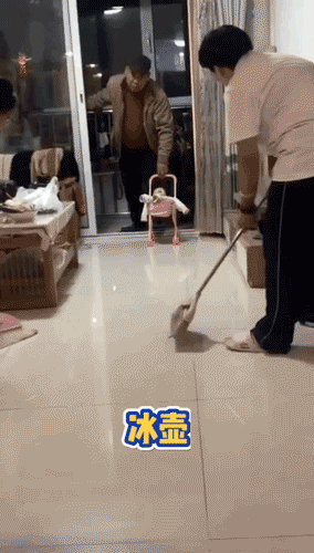 春节不能出门把全国网友憋成啥样？给猫讲函数，为橘子接生