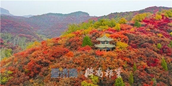 15秒短视频与《三泉溪暖》一起登上山东卫视