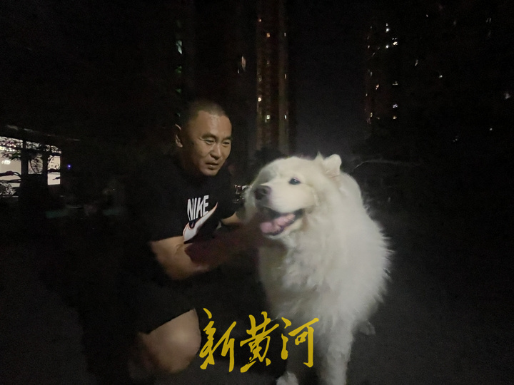 深夜遛狗人：手握犬绳感受宠物陪伴的温暖