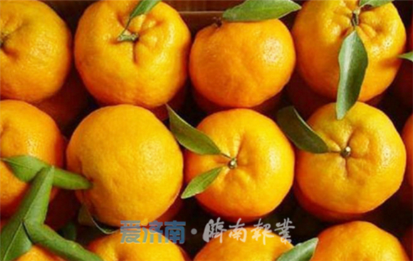 我在湘西种棵树｜周六带孩子来泉城广场“小木屋”，过个别样儿童节