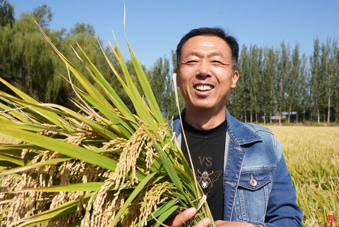 【走基层 看发展】美里湖街道：绘就生态工笔画谱写乡村振兴新篇章