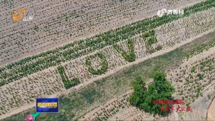 泰安：城乡空间一体 打造山水林田湖草生命共同体