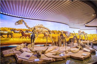 4只大熊猫到这个地方安家落户！9月16日与游客见面