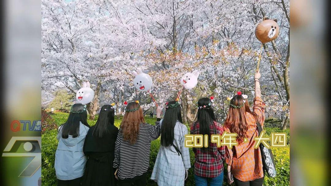 厉害！青科大3个宿舍、16朵学霸姐妹花都成功考研