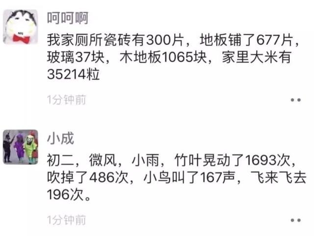 春节不能出门把全国网友憋成啥样？给猫讲函数，为橘子接生