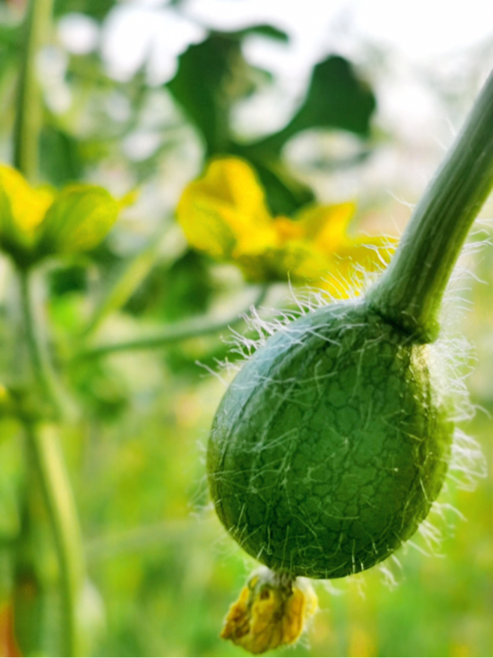 【春耕进行时】回看舜网记者带您走过的这些地方