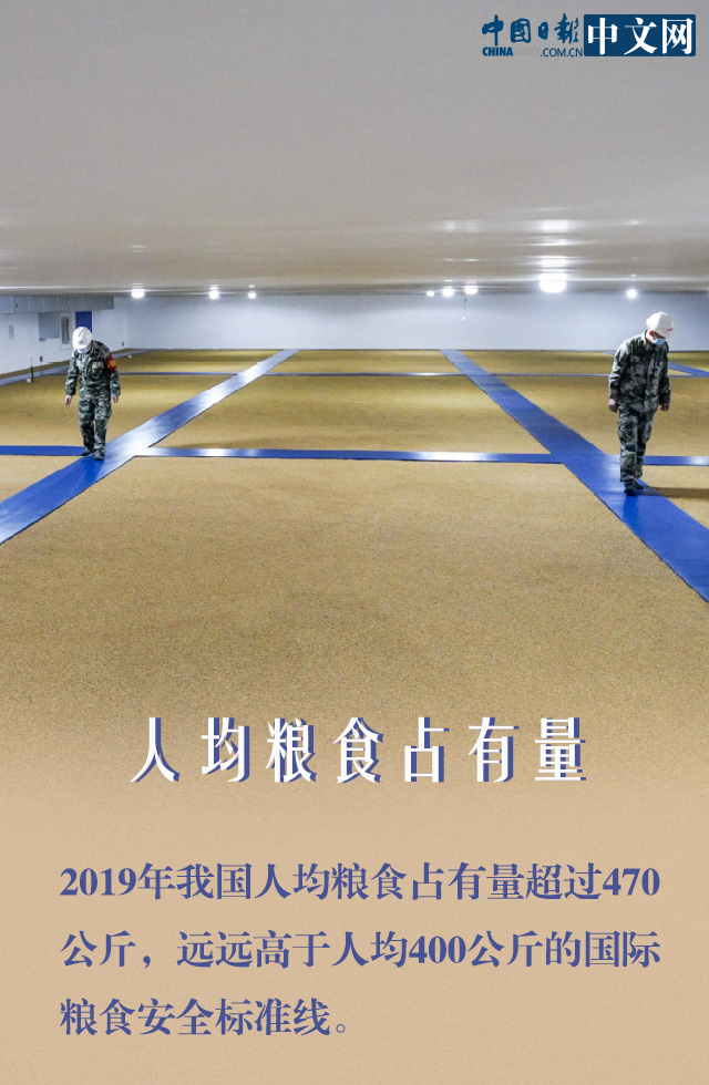 莫慌！防疫春耕两手抓 我们的“米袋子”货足价稳