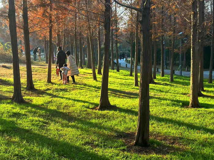 阳光普照气温升 户外休闲游园乐享周末时光