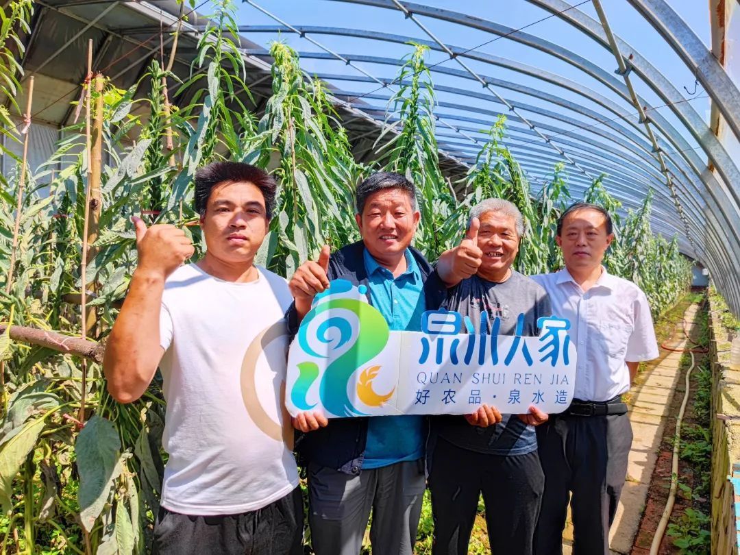 泉水人家视频集锦：致敬每位追赶春光的三农人