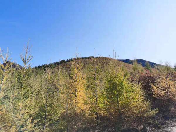 壮美马鞍山，喀喇沁的绿色名片