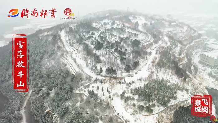 【飞阅泉城】雪落牧牛山绘就绝美水墨丹青