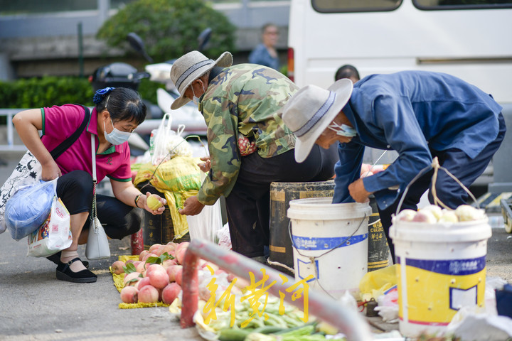 市区里的迷你果蔬市场 朴实风土人情吸引回头客