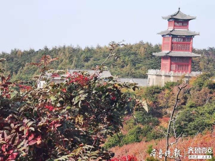 你们在泰山十八盘上挤油油，记者却找到一条景美人稀的爬山道