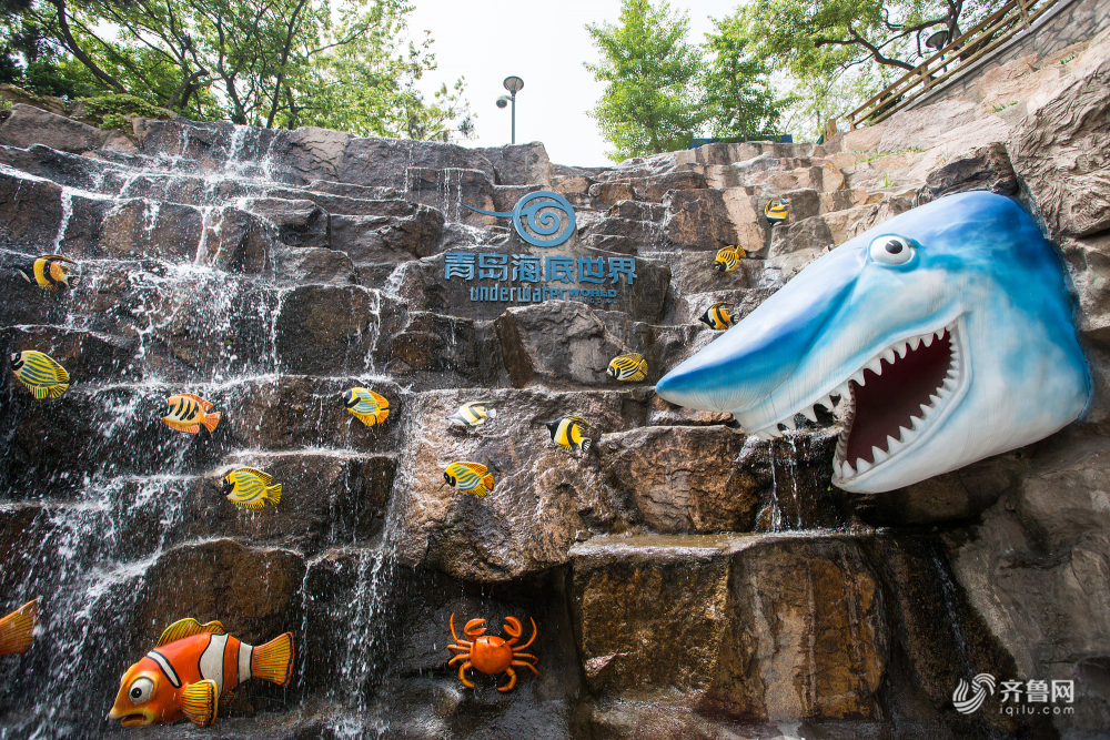 @所有人！山东这些景区本周末起陆续恢复开放！