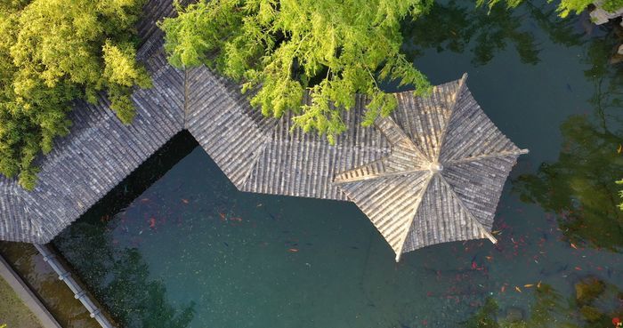 【水下济南】濂泉：清泉石上流 鱼儿天上游