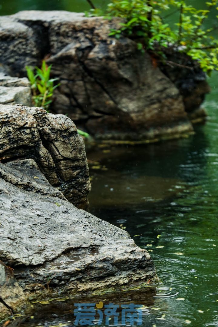 斜风细雨 水泛涟漪 雨中的五龙潭如诗如画