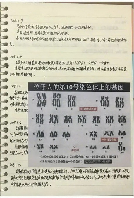 “小学生研究癌症获奖”，云南省科协：已成立调查组