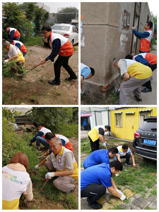 创卫复审凝聚最美初心  “七彩志愿”共建如意北坦