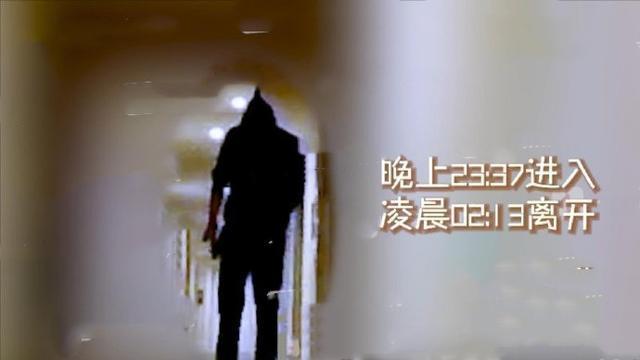 陈星旭张婧仪疑似恋情曝光|炒作还是因戏生情？陈星旭张婧仪疑似恋情曝光 连续两晚进女方房间