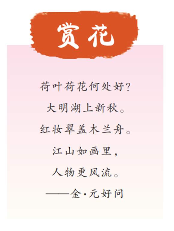 人民日报整版特别报道济南：映日荷花满城香