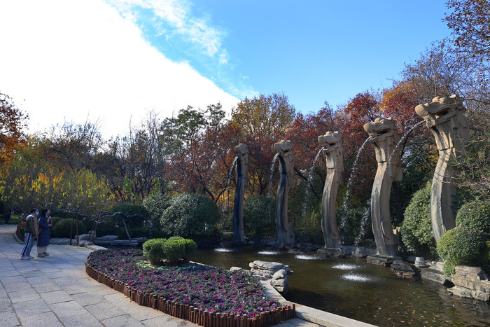 诗境感拉满！泉水叮咚鱼儿欢 色彩斑斓如画卷