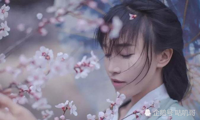 1410万！李子柒刷新YouTube订阅量吉尼斯世界纪录