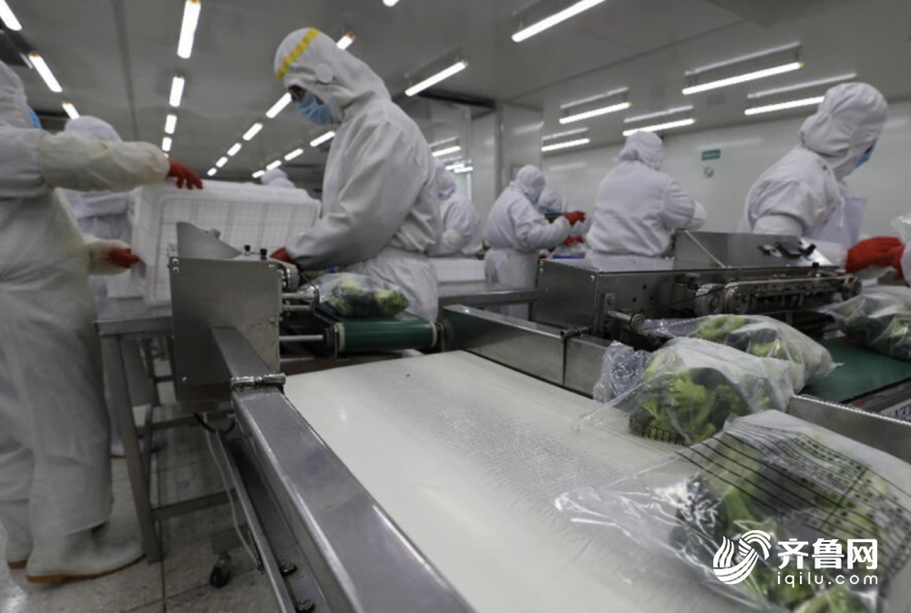 31个省市区复工率公布：山东居首位，9市规模以上工业企业开工率超九成