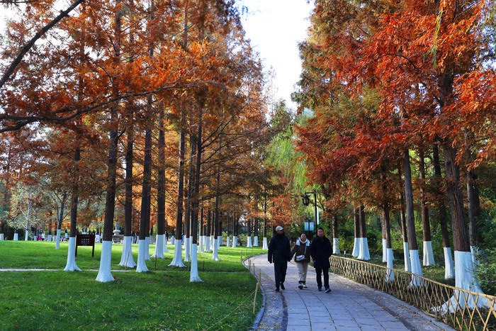 诗境感拉满！泉水叮咚鱼儿欢 色彩斑斓如画卷