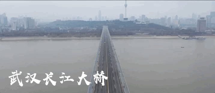 这座城市，哪会轻易暂停