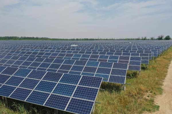 山东：光伏发电借“光”生“金”助力绿色低碳发展