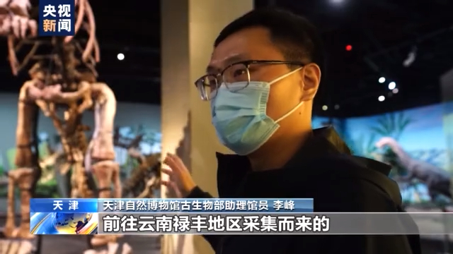 标本“活”起来 古动物明星圈粉百万 带你探秘天津自然博物馆
