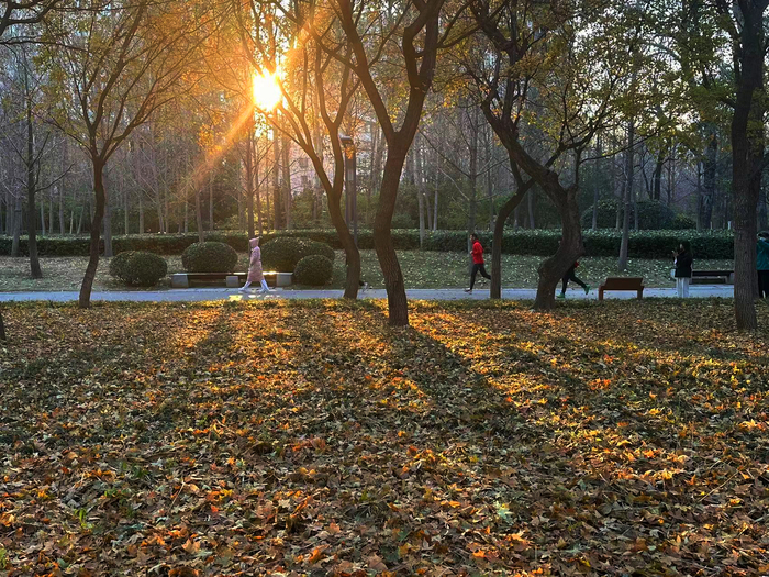 阳光普照气温升 户外休闲游园乐享周末时光
