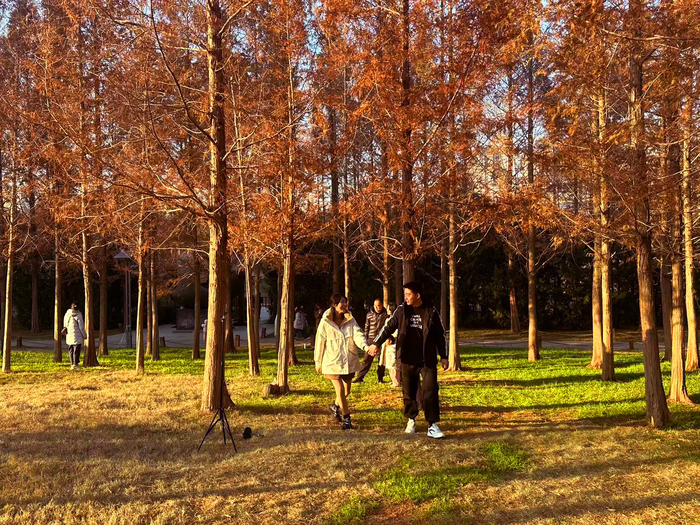 阳光普照气温升 户外休闲游园乐享周末时光