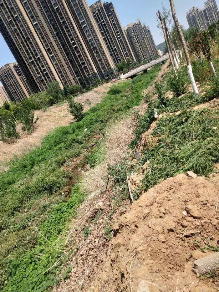 【啄木鸟在行动】槐荫区党杨路与刘长山路交汇处存在脏乱及扬尘问题