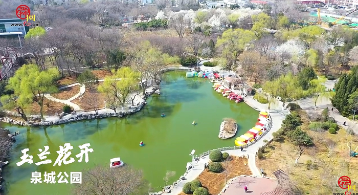 俯瞰济南泉城公园春光醉人