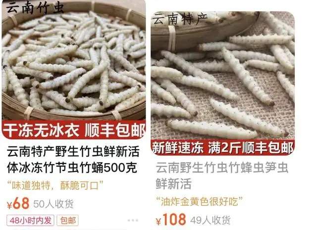 游客在丽江60元买2串烤虫，官方称明码标价