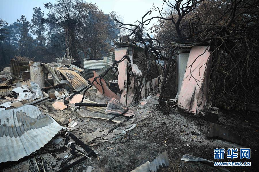 澳大利亚：探访林火过后的村庄