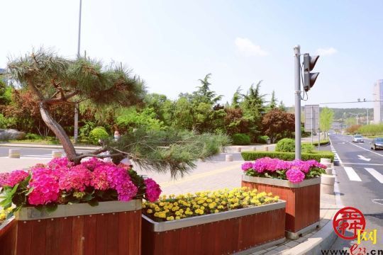路上就能赏花！千万盆鲜花扮靓泉城喜迎五一