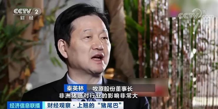 猪肉价格反弹！房企抢滩 卖猪比卖房挣钱？