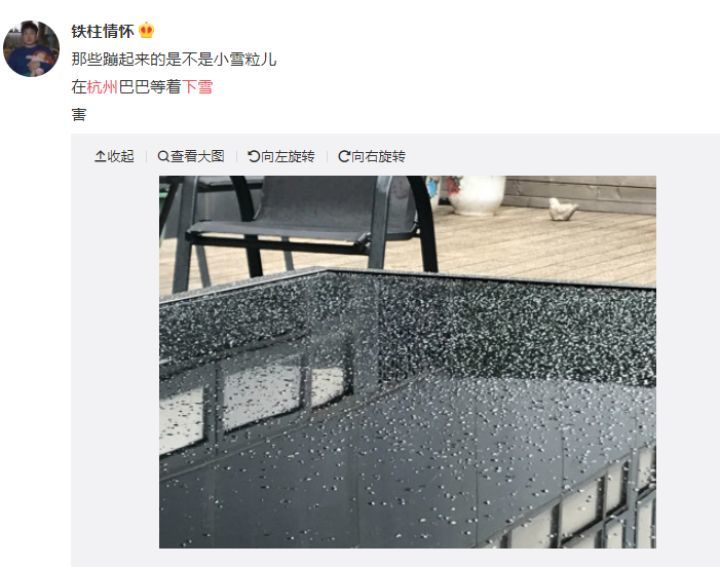 杭州求雪有多努力？市民捕获一粒野生雪子刷屏！气象台：是真的