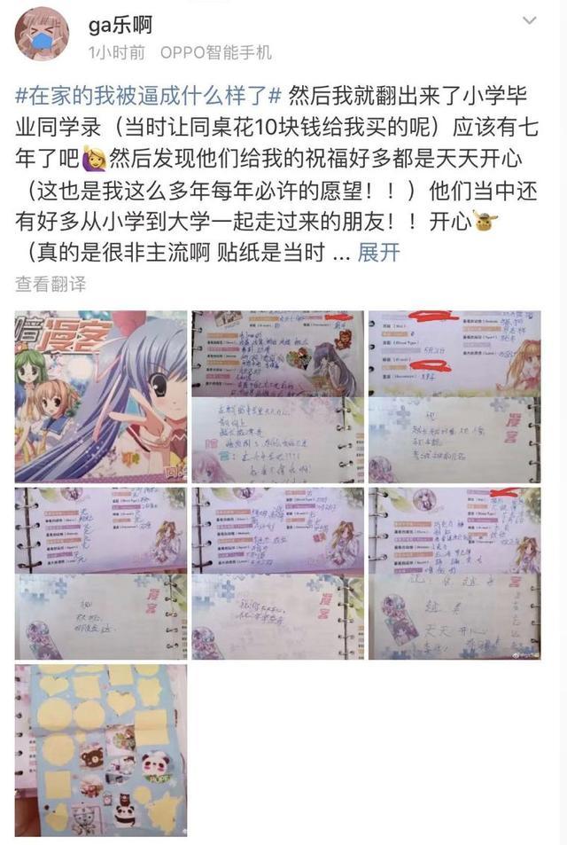 春节不能出门把全国网友憋成啥样？给猫讲函数，为橘子接生