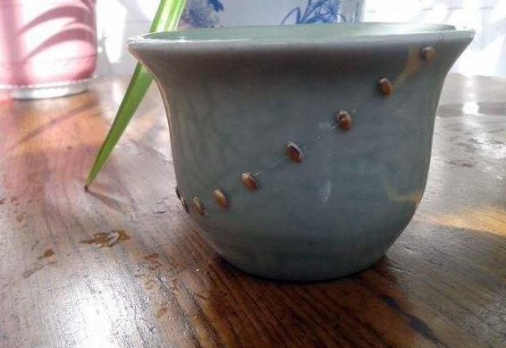 逛起来！2019 济南“泉水集市”即将开市