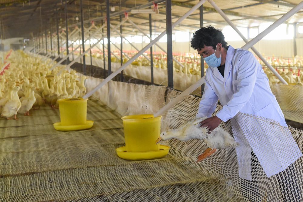 中国新疆告别千年贫困