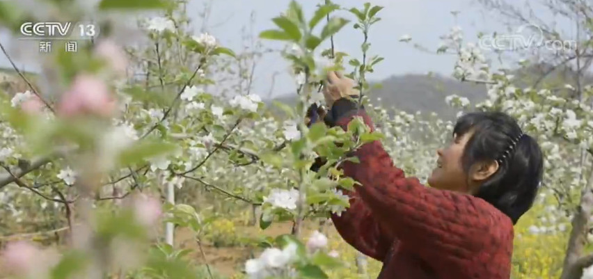 春日大地花红柳绿 春光无限好