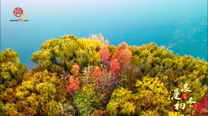 舜视频丨初冬明湖 浪漫如重彩油画