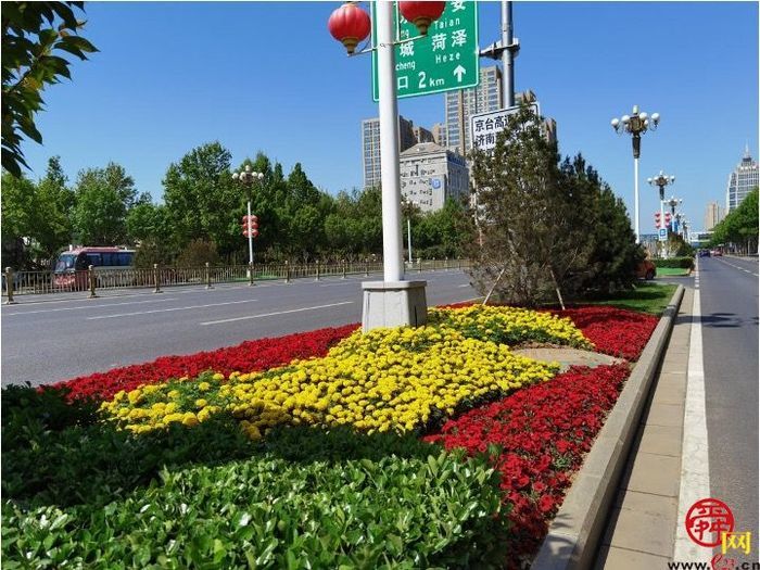 【图集】槐荫变花园 近30万盆花卉吐芬芳