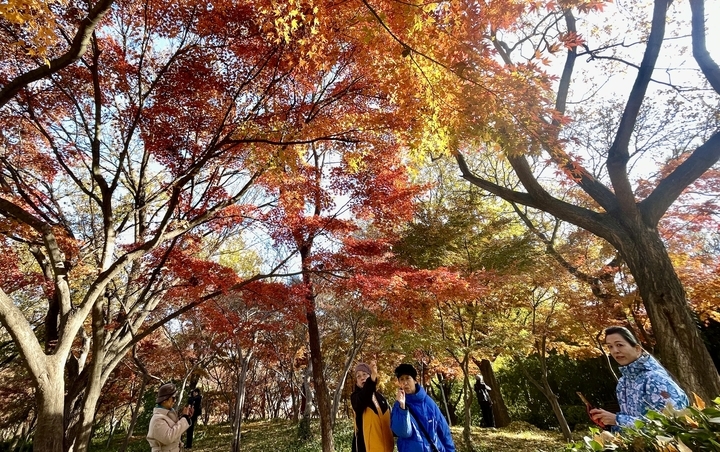 济南的冬天美翻了 泉城公园披上“花式冬装”