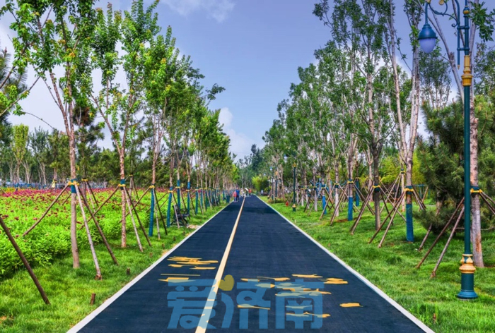 省级名单公示！济钢片区中央森林公园入选城市更新示范项目